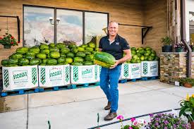 The Rise of Alfie Oakes: From Local Grower to National Figure