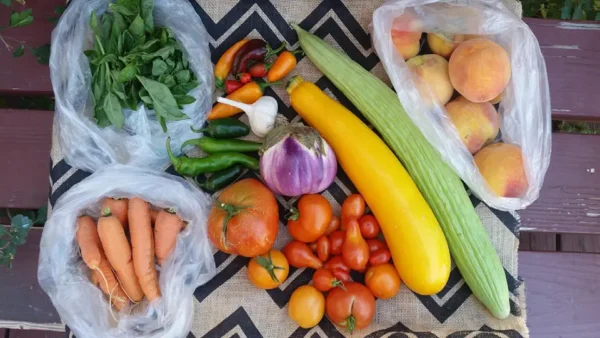 The Oakes Legacy: Alfie’s Impact on the Local Food Movement